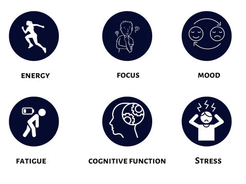 Brain Boost +