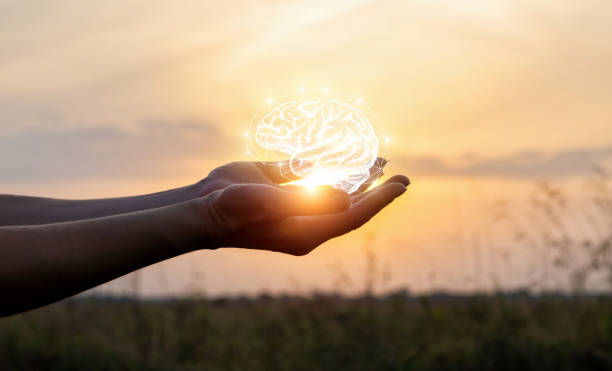 Brain/Neurological Support