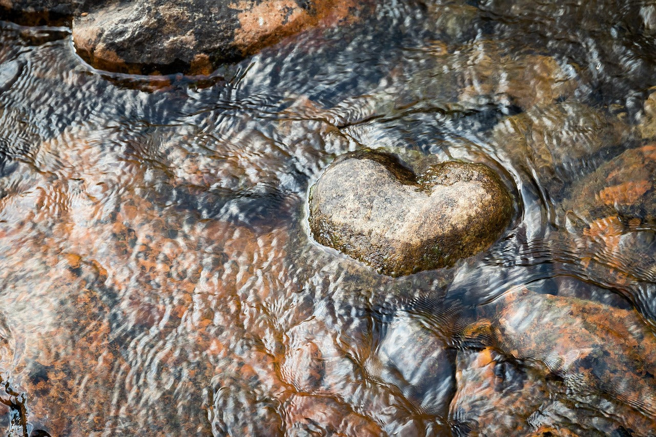 Heart Health & Cardiovascular Support